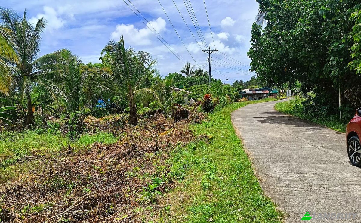 Land Lot for Sale Guiuan, Eastern Samar, Eastern Visayas, Philippines. Photo 9