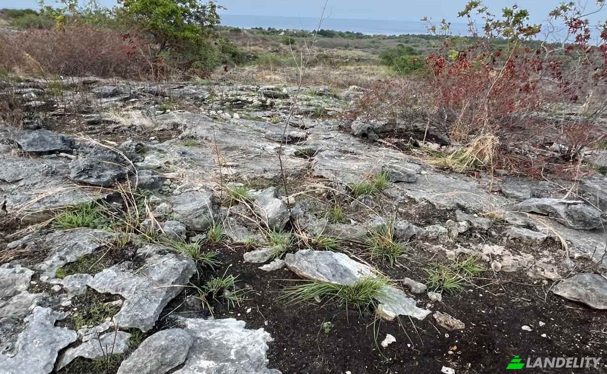 Land Lot for Sale Jalan Tanpa Nama, Hamba Praing, East Sumba Regency, East Nusa Tenggara, Indonesia, Kec Kanatang, Kabupaten Sumba Timur, Nusa Tenggara Tim. Photo 3