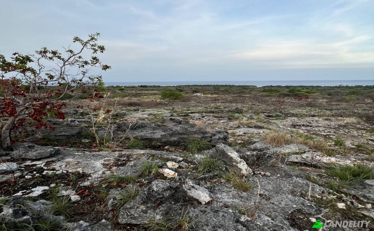 Land Lot for Sale Jalan Tanpa Nama, Hamba Praing, East Sumba Regency, East Nusa Tenggara, Indonesia, Kec Kanatang, Kabupaten Sumba Timur, Nusa Tenggara Tim. Photo 2