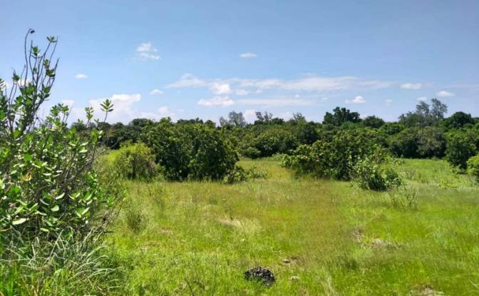 Land Lot for Sale Jalan Tanpa Nama, Kadahang. Photo#3 Land Lot for Sale Jalan Tanpa Nama, Kadahang. Photo#3