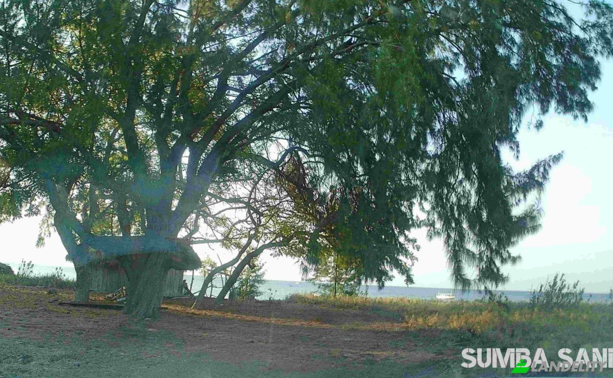 Land Lot for Sale Pos nelayan, Palakahembi, East Sumba Regency, East Nusa Tenggara, Indonesia, Pandawai. Photo 3
