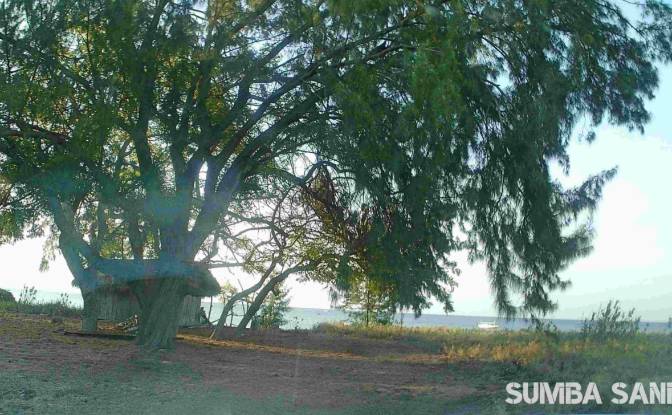 Land Lot for Sale Pos nelayan, Palakahembi. Photo#3