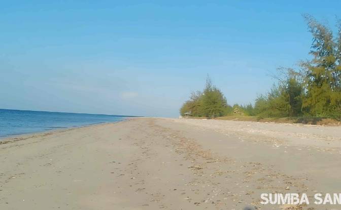Land Lot for Sale - Palakahembi, Indonesia