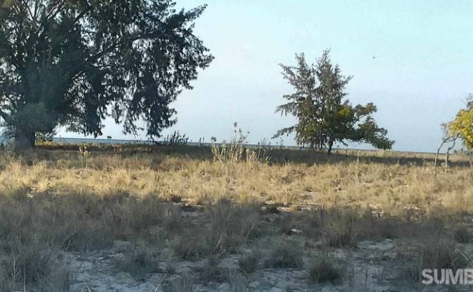 Land Lot for Sale Pos nelayan, Palakahembi. Photo#4