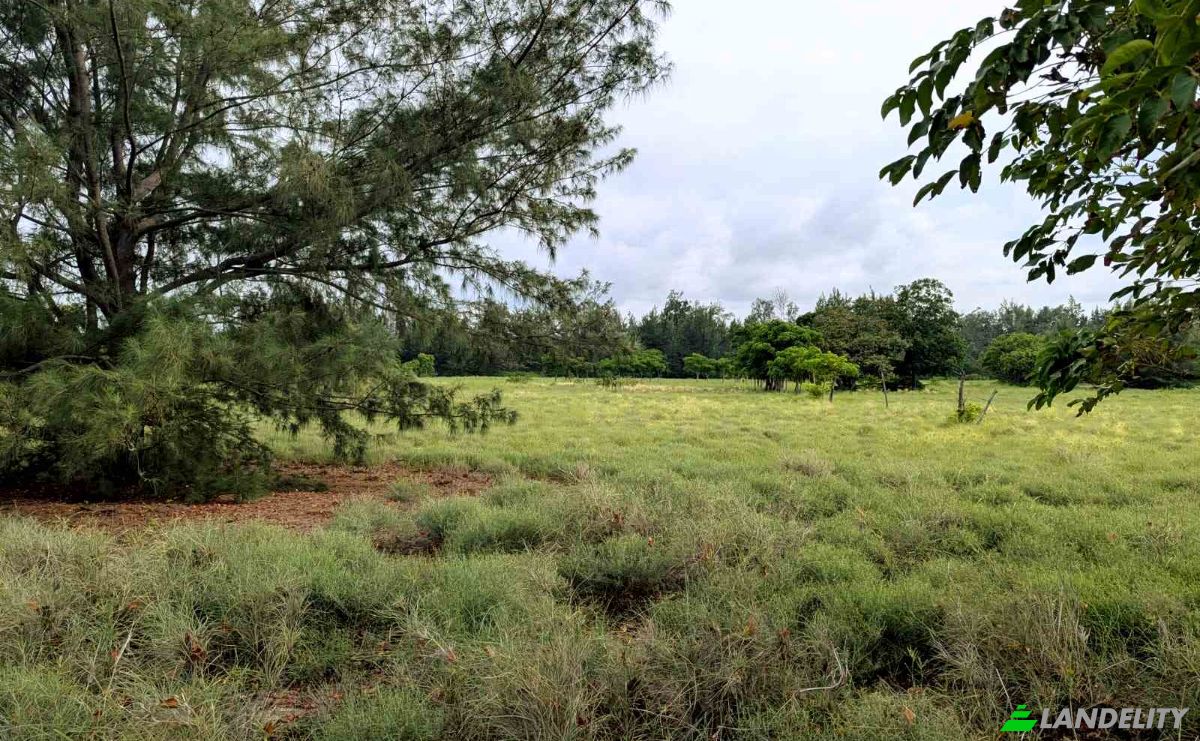 Land Lot for Sale Palakahembi, East Sumba Regency, East Nusa Tenggara, Indonesia, Pandawai. Photo 4