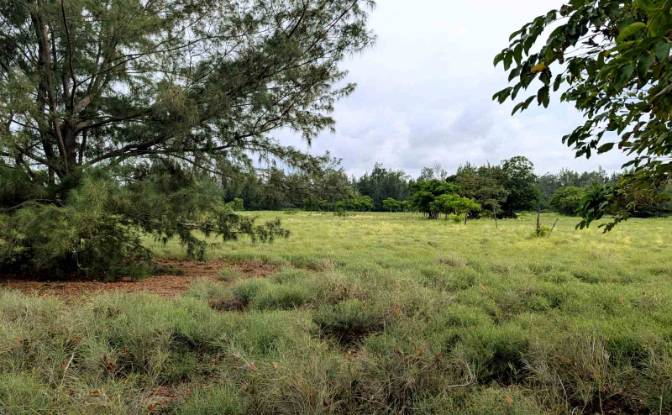 Land Lot for Sale Palakahembi, East Sumba Regency. Photo#4