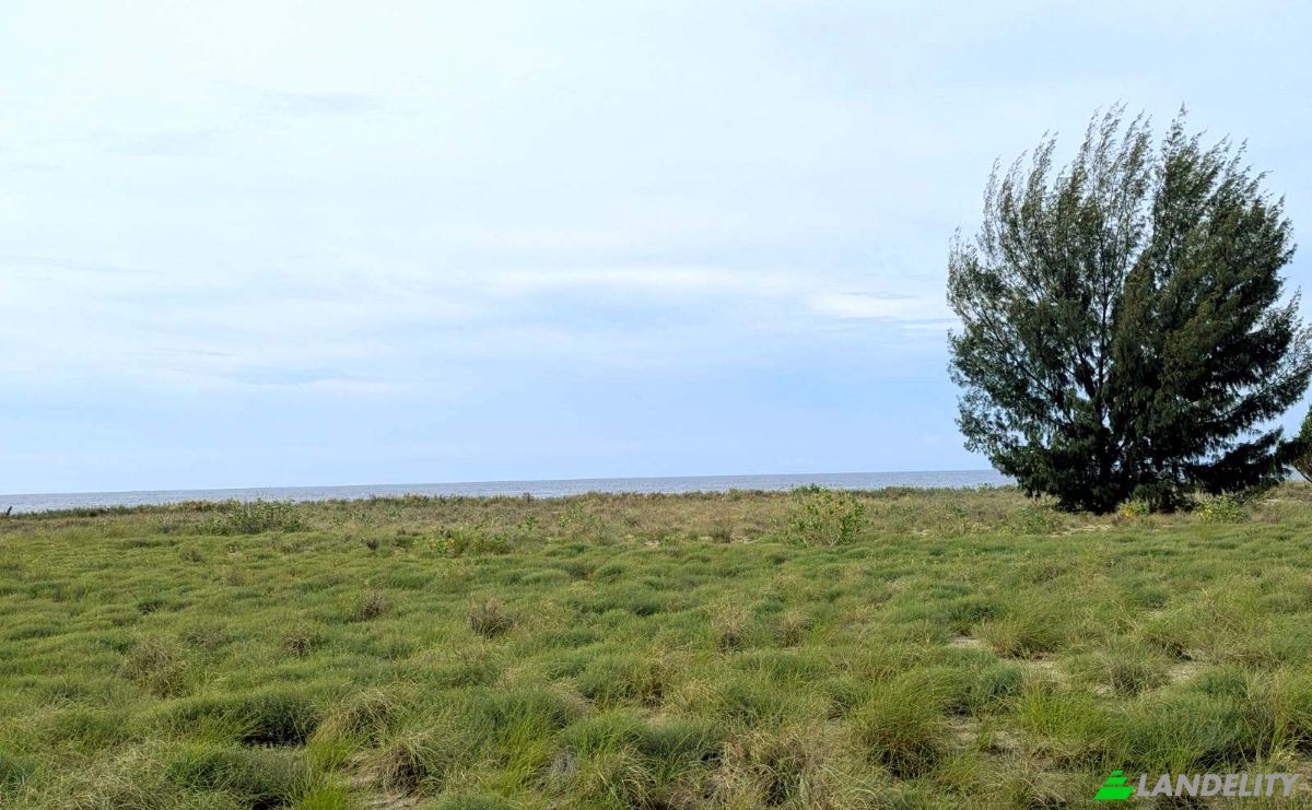 Land Lot for Sale Palakahembi, East Sumba Regency, East Nusa Tenggara, Indonesia, Pandawai. Photo 6