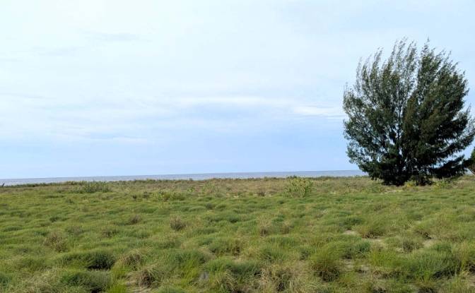 Land Lot for Sale Palakahembi, East Sumba Regency. Photo#6