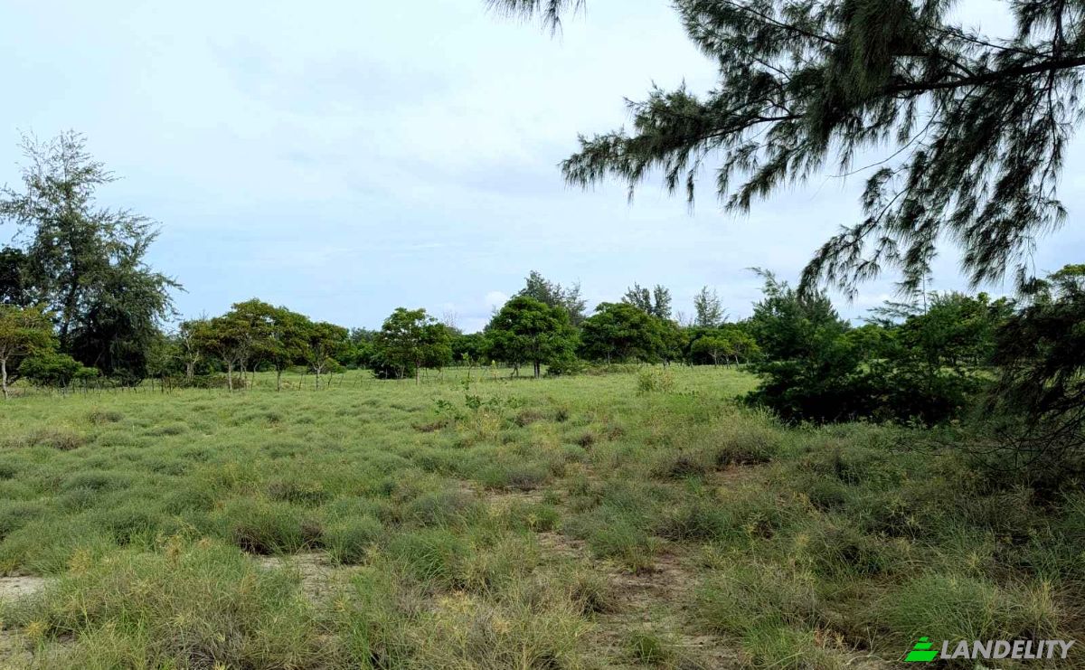 Land Lot for Sale Palakahembi, East Sumba Regency, East Nusa Tenggara, Indonesia, Pandawai. Photo 7