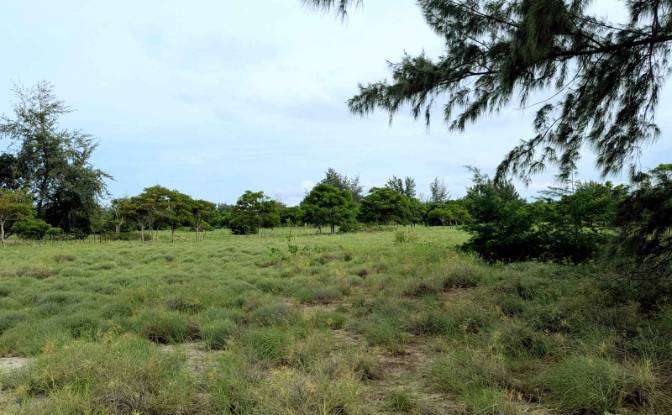 Land Lot for Sale Palakahembi, East Sumba Regency. Photo#7