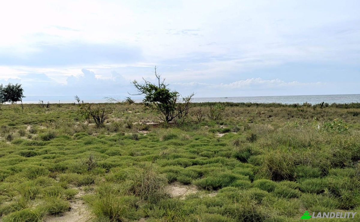 Land Lot for Sale Palakahembi, East Sumba Regency, East Nusa Tenggara, Indonesia, Pandawai. Photo 8