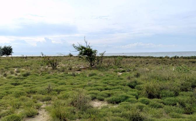 Land Lot for Sale Palakahembi, East Sumba Regency. Photo#8