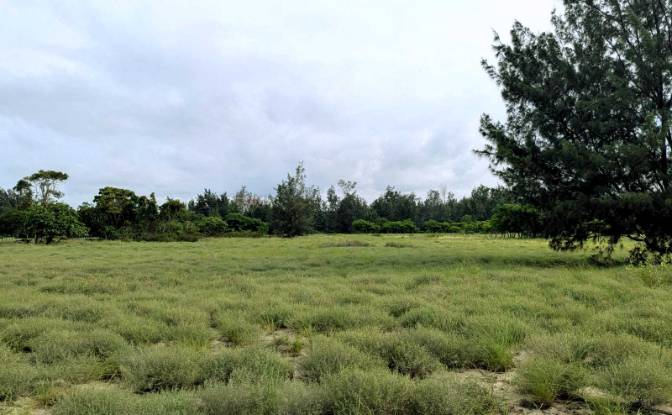Land Lot for Sale Palakahembi, East Sumba Regency. Photo#5