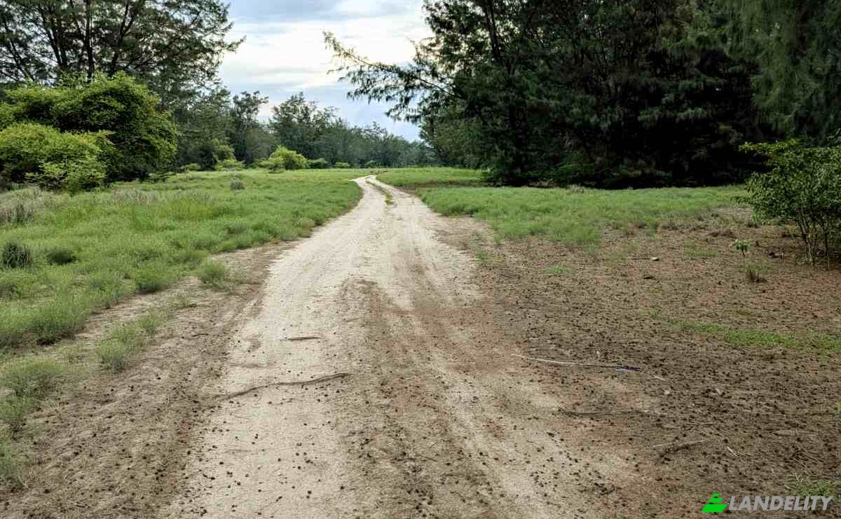Grondperceel Te koop Jalan Tanpa Nama, Palakahembi, East Sumba Regency, East Nusa Tenggara, Indonesia, Kec Pandawai, Kabupaten Sumba Timur, Nusa Tenggara Tim. Foto 2