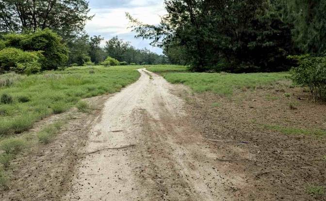 Grondperceel Te koop Jalan Tanpa Nama, Palakahembi. Foto#2
