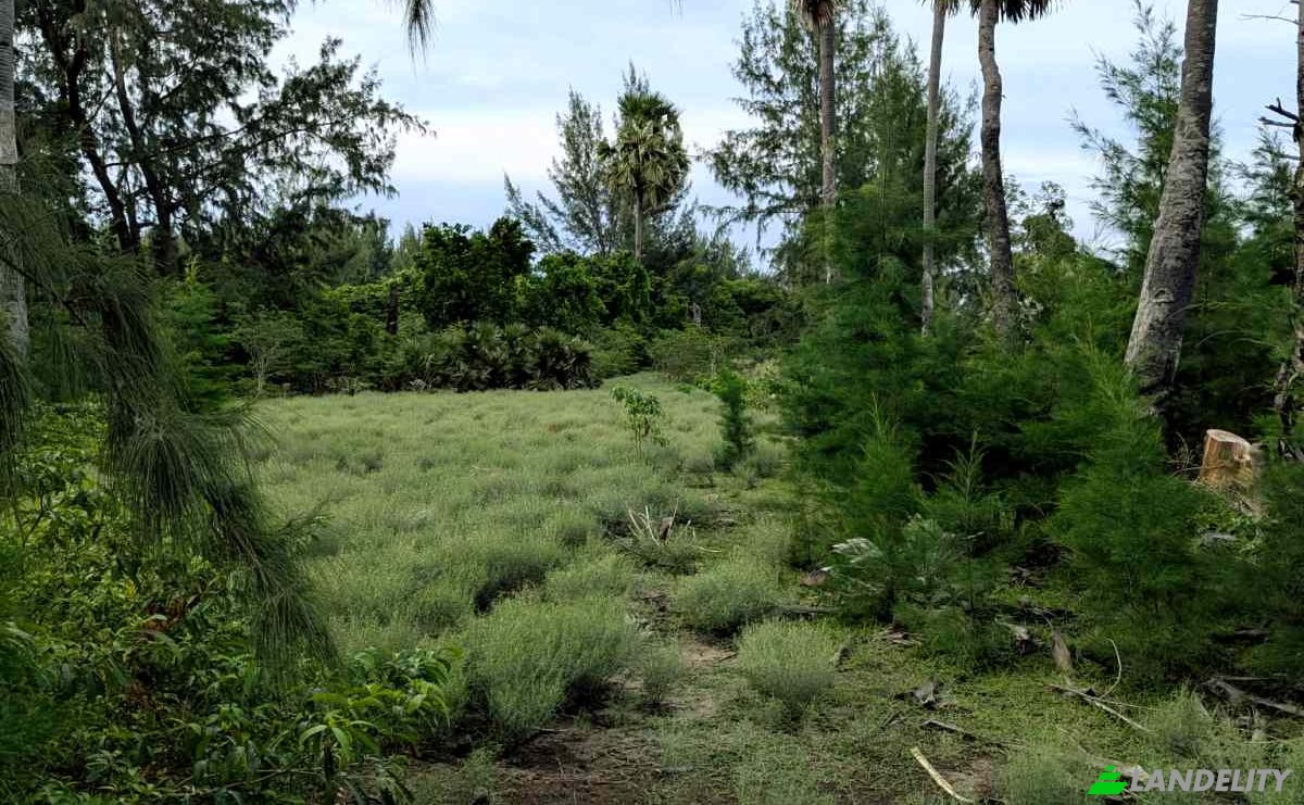 Grondperceel Te koop Jalan Tanpa Nama, Palakahembi, East Sumba Regency, East Nusa Tenggara, Indonesia, Kec Pandawai, Kabupaten Sumba Timur, Nusa Tenggara Tim. Foto 6