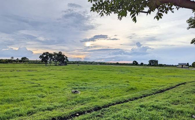 Land Lot for Sale - Palakahembi, Indonesia