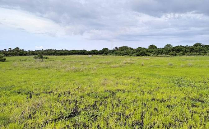 Land Lot for Sale Jalan Tanpa Nama, Palakahembi. Photo#2