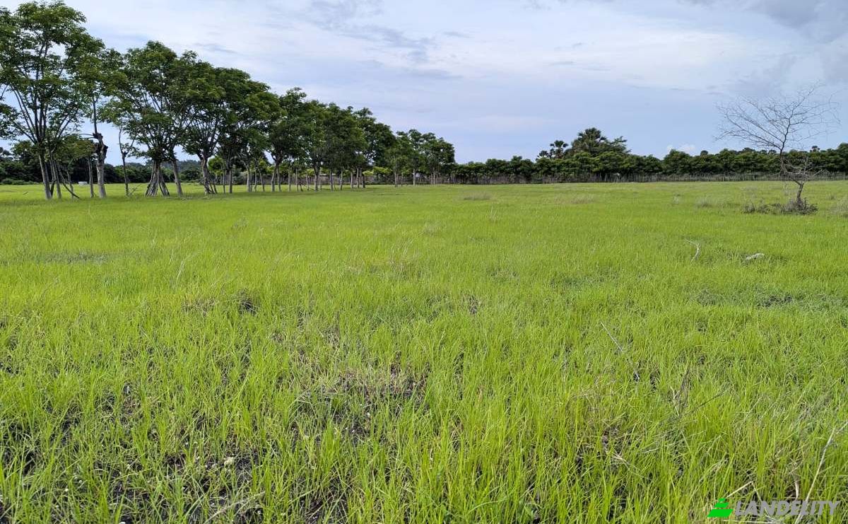 Land Lot for Sale Jalan Tanpa Nama, Palakahembi, East Sumba Regency, East Nusa Tenggara, Indonesia, Kec Pandawai, Kabupaten Sumba Timur, Nusa Tenggara Tim. Photo 3