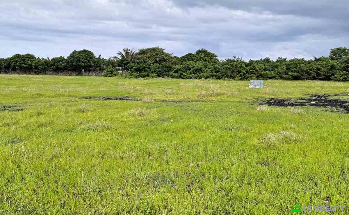 Land Lot for Sale Jalan Tanpa Nama, Palakahembi, East Sumba Regency, East Nusa Tenggara, Indonesia, Kec Pandawai, Kabupaten Sumba Timur, Nusa Tenggara Tim. Photo 4