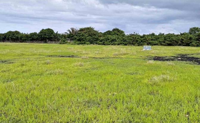 Land Lot for Sale Jalan Tanpa Nama, Palakahembi. Photo#4