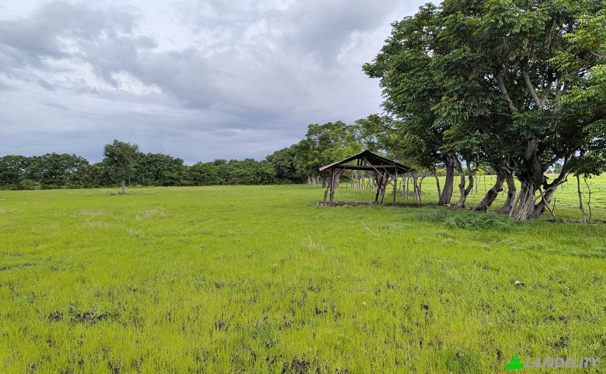 Land Lot for Sale Jalan Tanpa Nama, Palakahembi, East Sumba Regency, East Nusa Tenggara, Indonesia, Kec Pandawai, Kabupaten Sumba Timur, Nusa Tenggara Tim. Photo 5