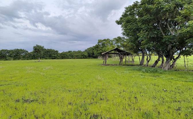 Land Lot for Sale Jalan Tanpa Nama, Palakahembi. Photo#5