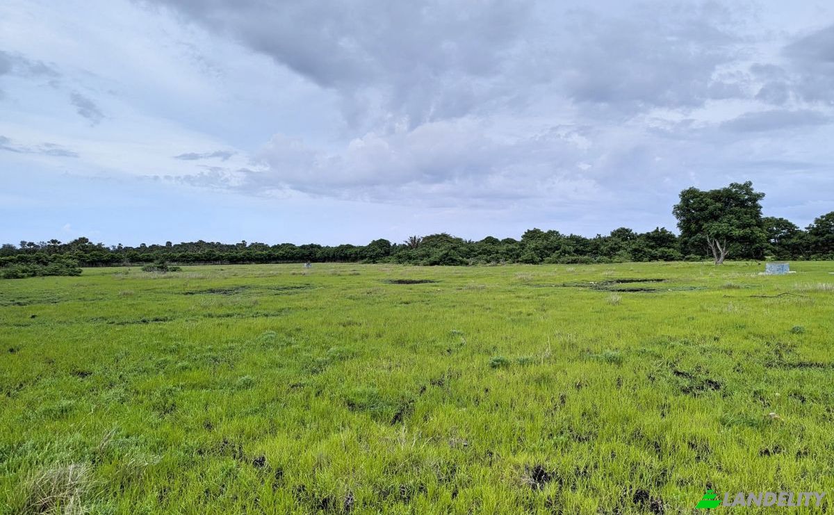 Land Lot for Sale Jalan Tanpa Nama, Palakahembi, East Sumba Regency, East Nusa Tenggara, Indonesia, Kec Pandawai, Kabupaten Sumba Timur, Nusa Tenggara Tim. Photo 6