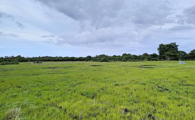 Land Lot for Sale Jalan Tanpa Nama, Palakahembi. Photo#6