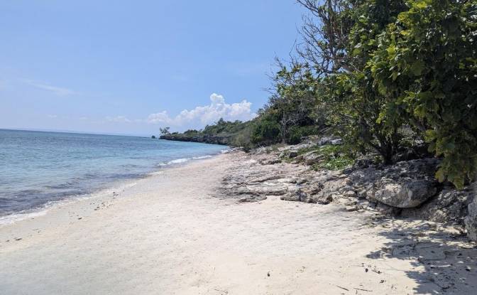 Land Lot for Sale Jalan Tanpa Nama, Hamba Praing. Photo#2