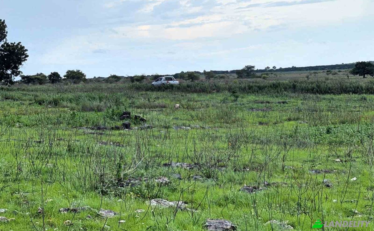 Land Lot for Sale Jalan Tanpa Nama, Hamba Praing, East Sumba Regency, East Nusa Tenggara, Indonesia, Kec Kanatang, Kabupaten Sumba Timur, Nusa Tenggara Tim. Photo 1