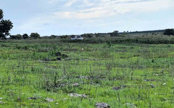 Land Lot for Sale - Hamba Praing, Indonesia