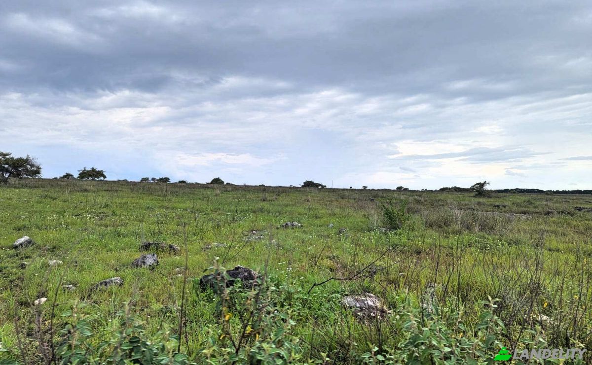 Land Lot for Sale Jalan Tanpa Nama, Hamba Praing, East Sumba Regency, East Nusa Tenggara, Indonesia, Kec Kanatang, Kabupaten Sumba Timur, Nusa Tenggara Tim. Photo 2