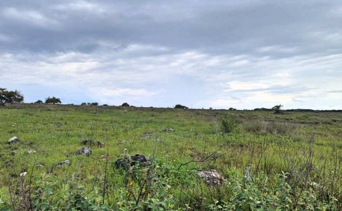 Land Lot for Sale Jalan Tanpa Nama, Hamba Praing. Photo#2 Land Lot for Sale Jalan Tanpa Nama, Hamba Praing. Photo#2