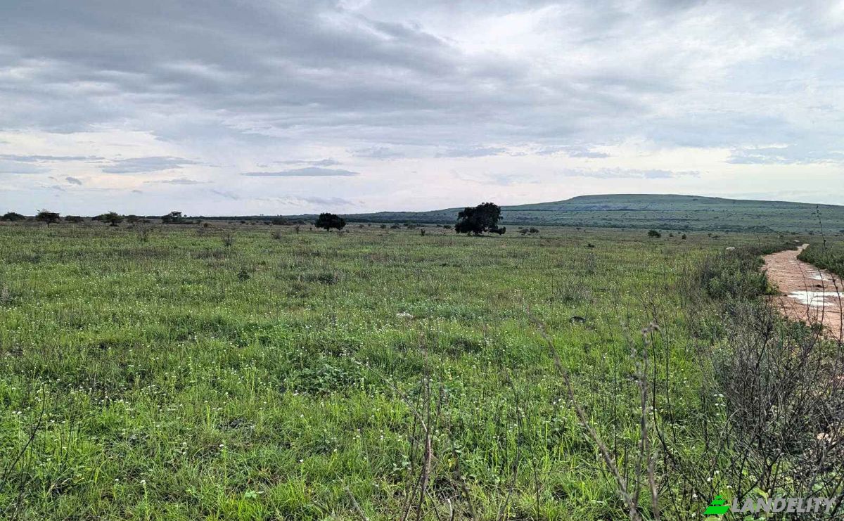 Land Lot for Sale Jalan Tanpa Nama, Hamba Praing, East Sumba Regency, East Nusa Tenggara, Indonesia, Kec Kanatang, Kabupaten Sumba Timur, Nusa Tenggara Tim. Photo 3