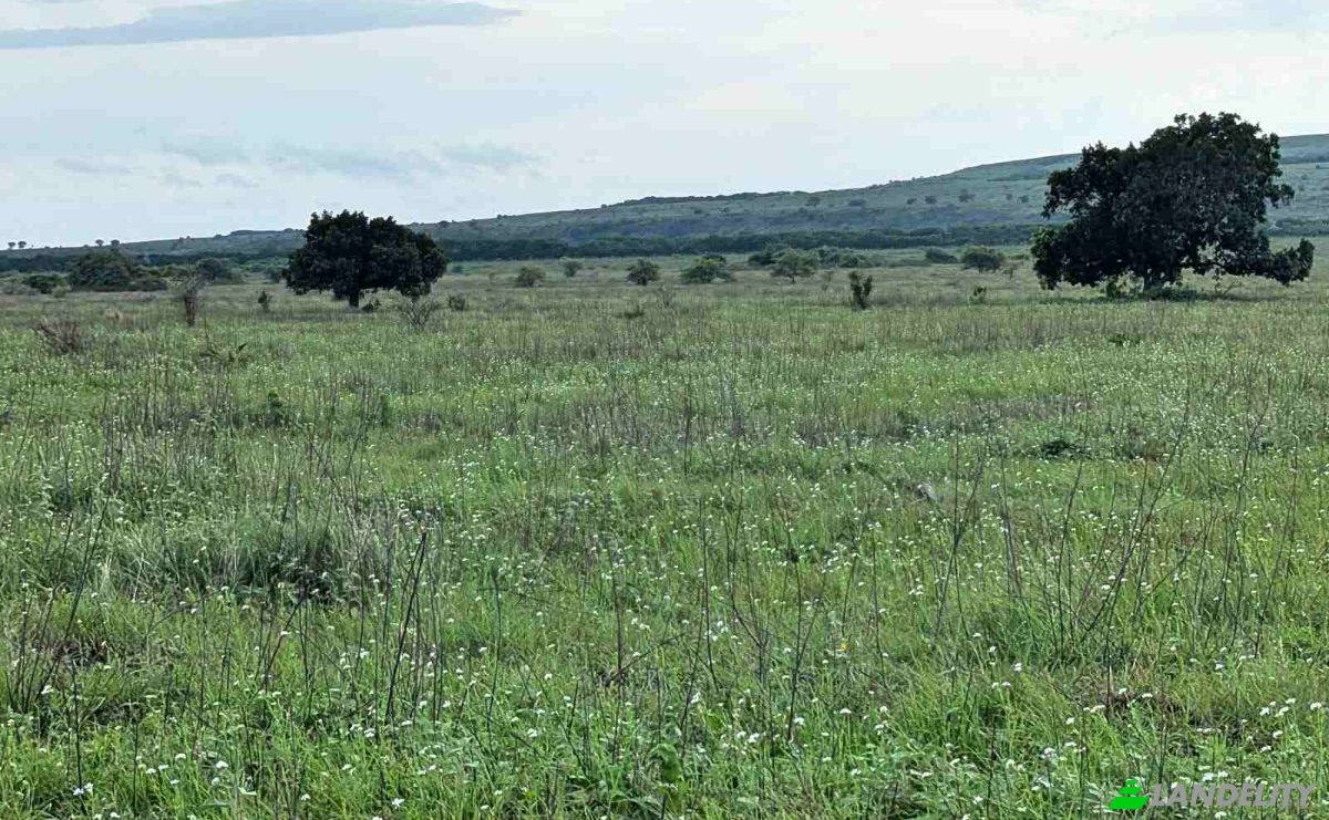 Land Lot for Sale Jalan Tanpa Nama, Hamba Praing, East Sumba Regency, East Nusa Tenggara, Indonesia, Kec Kanatang, Kabupaten Sumba Timur, Nusa Tenggara Tim. Photo 5