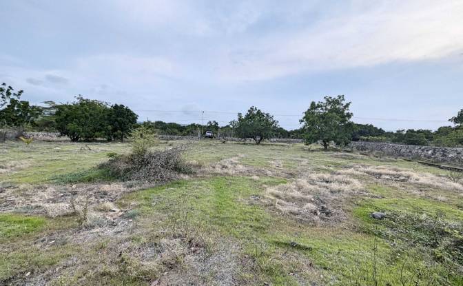 Land Lot for Sale Jalan Tanpa Nama, Mondu. Photo#9 Land Lot for Sale Jalan Tanpa Nama, Mondu. Photo#9