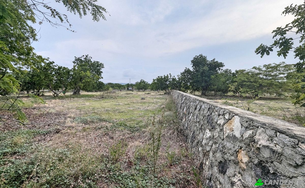 Land Lot for Sale Jalan Tanpa Nama, Mondu, East Sumba Regency, East Nusa Tenggara, Indonesia, Kec Kanatang, Kabupaten Sumba Timur, Nusa Tenggara Tim. Photo 10