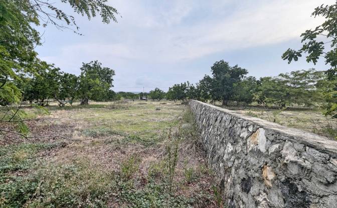 Land Lot for Sale Jalan Tanpa Nama, Mondu. Photo#10 Land Lot for Sale Jalan Tanpa Nama, Mondu. Photo#10