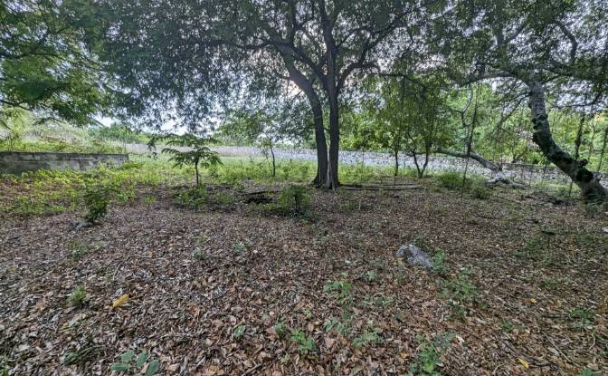 Land Lot for Sale Jalan Tanpa Nama, Mondu. Photo#5 Land Lot for Sale Jalan Tanpa Nama, Mondu. Photo#5