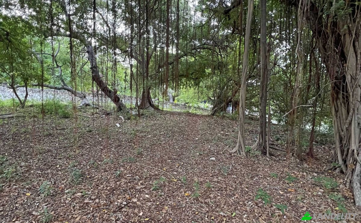 Land Lot for Sale Jalan Tanpa Nama, Mondu, East Sumba Regency, East Nusa Tenggara, Indonesia, Kec Kanatang, Kabupaten Sumba Timur, Nusa Tenggara Tim. Photo 6