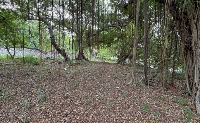 Land Lot for Sale Jalan Tanpa Nama, Mondu. Photo#6 Land Lot for Sale Jalan Tanpa Nama, Mondu. Photo#6
