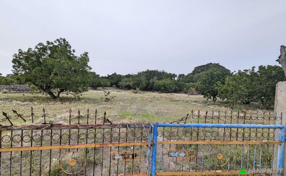 Land Lot for Sale Jalan Tanpa Nama, Mondu, East Sumba Regency, East Nusa Tenggara, Indonesia, Kec Kanatang, Kabupaten Sumba Timur, Nusa Tenggara Tim. Photo 3