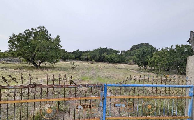 Land Lot for Sale Jalan Tanpa Nama, Mondu. Photo#3 Land Lot for Sale Jalan Tanpa Nama, Mondu. Photo#3