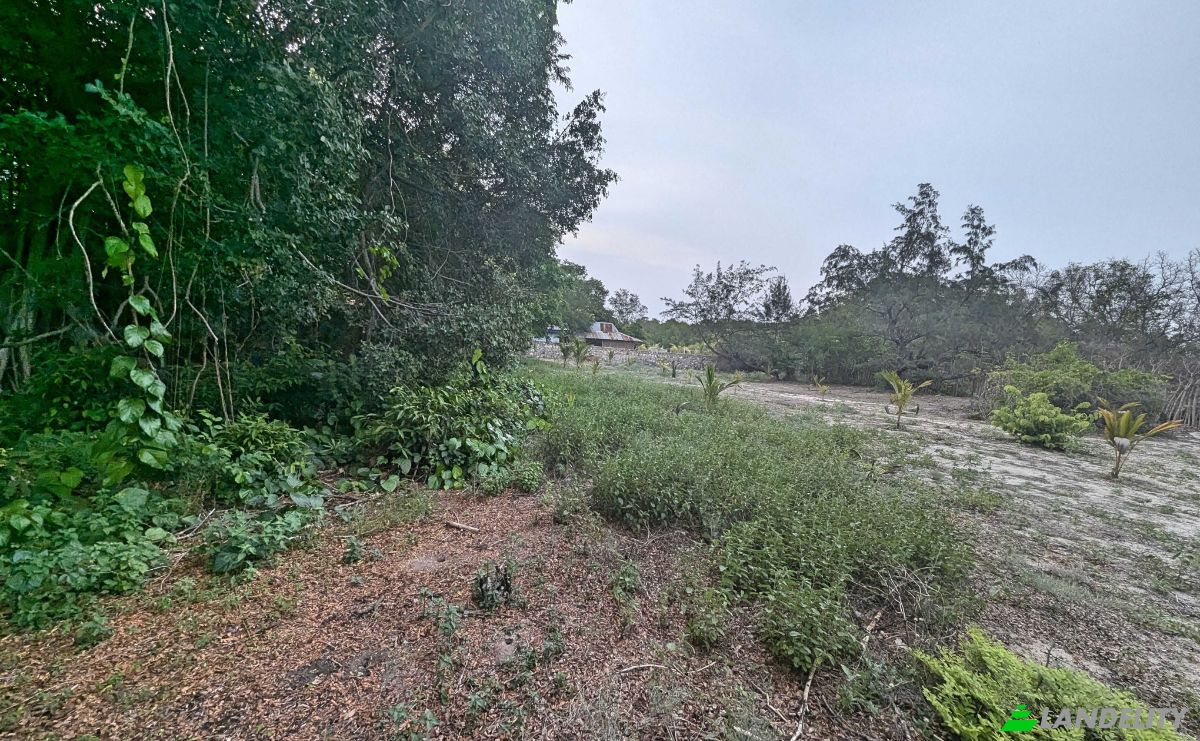 Land Lot for Sale Jalan Tanpa Nama, Mondu, East Sumba Regency, East Nusa Tenggara, Indonesia, Kec Kanatang, Kabupaten Sumba Timur, Nusa Tenggara Tim. Photo 7