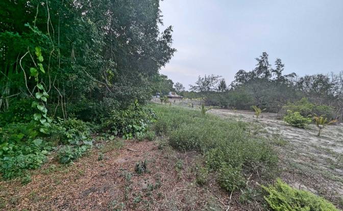 Land Lot for Sale Jalan Tanpa Nama, Mondu. Photo#7 Land Lot for Sale Jalan Tanpa Nama, Mondu. Photo#7