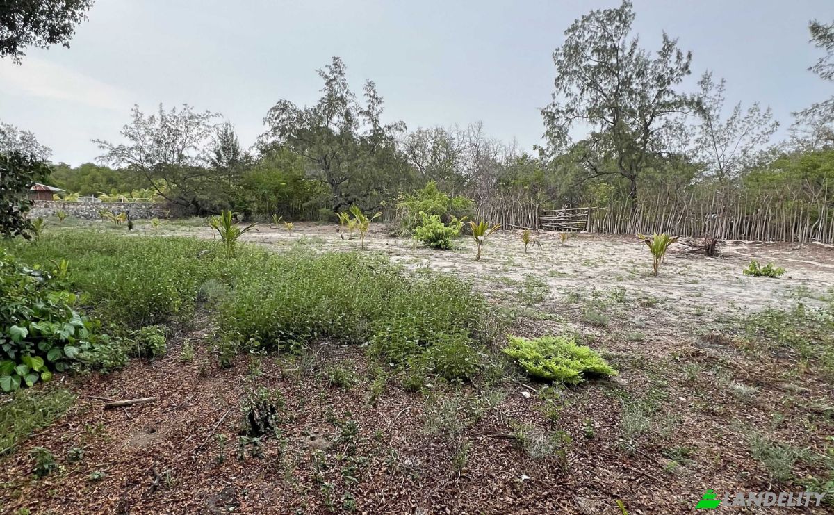Land Lot for Sale Jalan Tanpa Nama, Mondu, East Sumba Regency, East Nusa Tenggara, Indonesia, Kec Kanatang, Kabupaten Sumba Timur, Nusa Tenggara Tim. Photo 8
