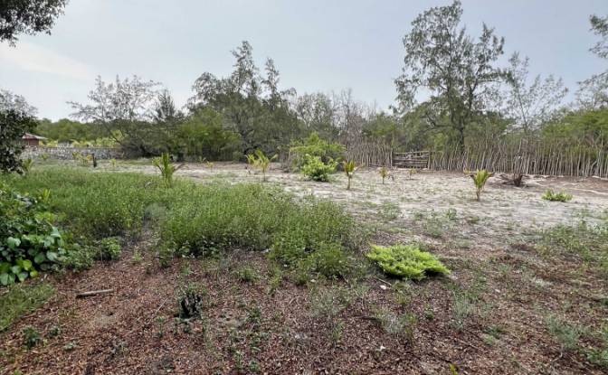 Land Lot for Sale Jalan Tanpa Nama, Mondu. Photo#8 Land Lot for Sale Jalan Tanpa Nama, Mondu. Photo#8
