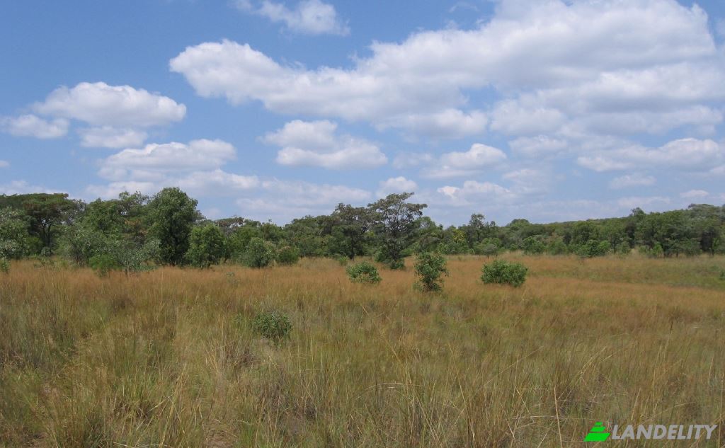 Land Lot for Sale Waterberg District Municipality, Limpopo, South Africa. Photo 13