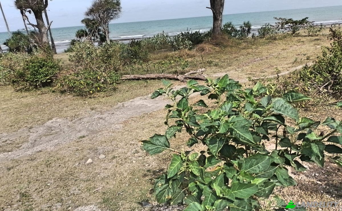 Land Lot for Sale Lainjanji, East Sumba Regency, East Nusa Tenggara, Indonesia, Wulla Waijelu. Photo 3